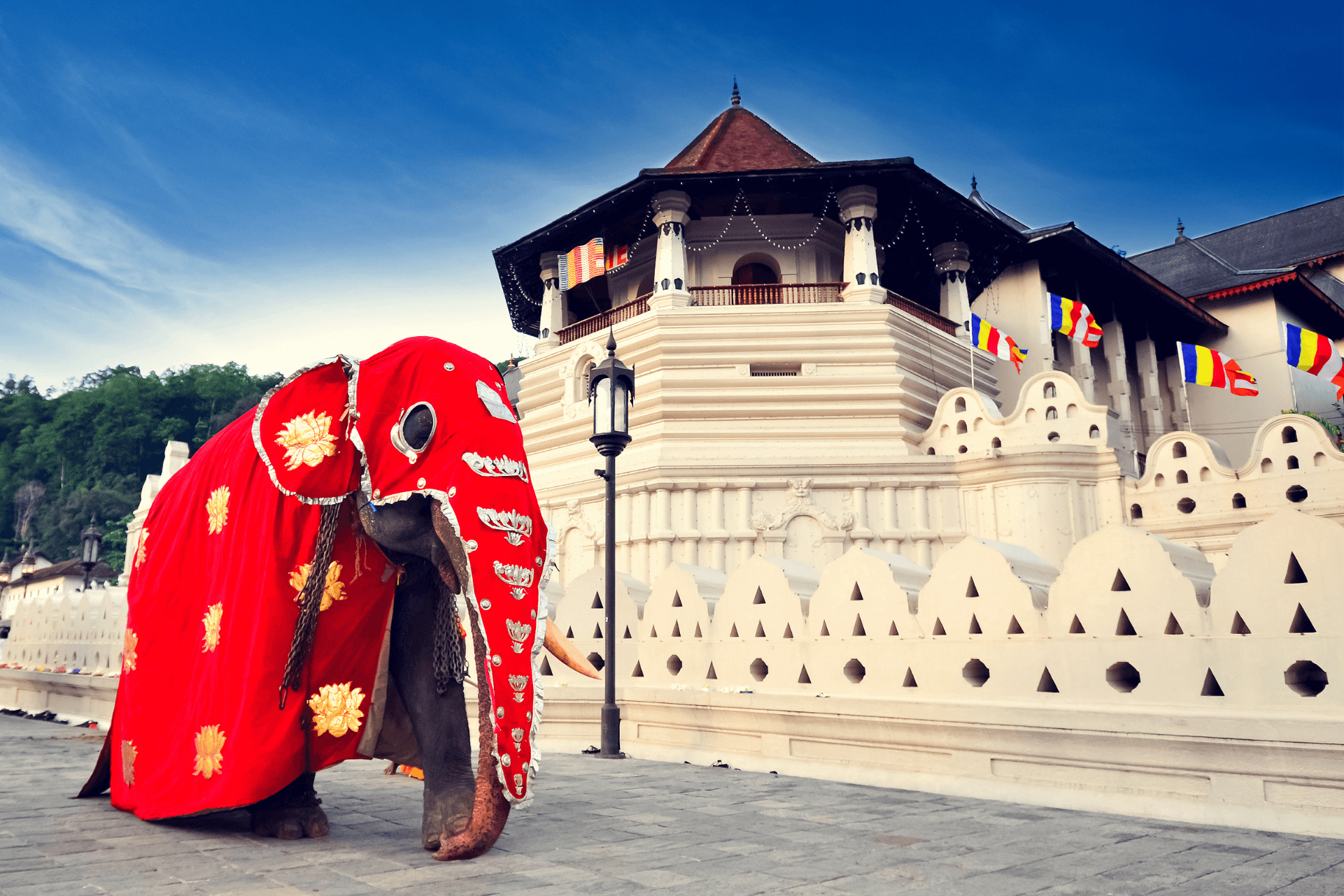 Destination Weddings