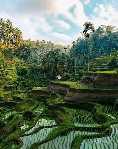 Bali Adventure Escape – Beaches, Culture & Thrills